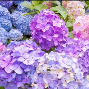 Meet your Posher, Whitney